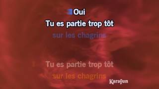 Karaoké Jai pleuré sur ma guitare Live 2016  Johnny Hallyday [upl. by Assened]