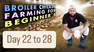 Day 2228 StartUp Costs for Broiler Chicken Farming in South Africa  A Comprehensive Breakdown [upl. by Hanschen]