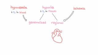 Introduction to hypoxemia [upl. by Airoled]