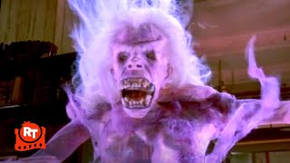 Ghostbusters 1984  The Library Ghost Scene  Movieclips [upl. by Darell667]