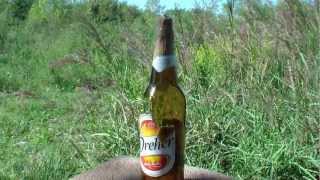 weihrauch HW50S e diabolo jsb exact a 25 mt contro Bottiglia birra 66 cl [upl. by Cullin]