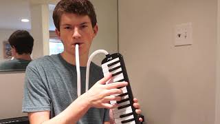 what different people want me to play on the melodica [upl. by Mann]