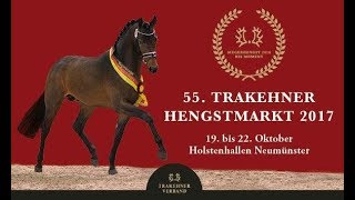 Trakehner Hengstmarkt 2017  Trailer der Junghengste [upl. by Fritzie646]