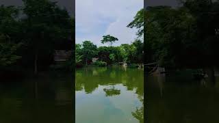 এ যেন ২য় রাতারগুল 😮☺️ music song newsong kalniriver bangladesh [upl. by Cindy]