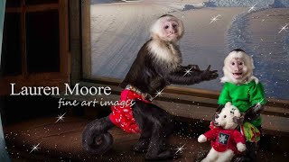 Capuchin Monkey Secret Santa [upl. by Rao]