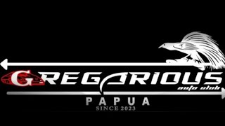 lagu GREGARIOUS Auto Club masuk di Papua guyss😎😎 gregariousautoclub indonesia papua sulut [upl. by Nadirehs986]