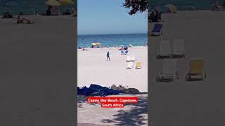 Camps Bay Beach Capetown  South Africa  Pradeep Royal shorts capetown beach indiashorts [upl. by Relda]