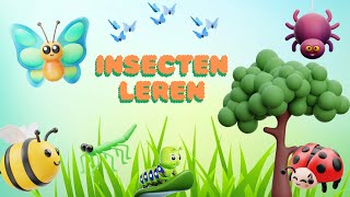 Ontdek de wereld van insecten🦋 Leer alles over insecten🐞Nederlands 🐌Peuters en Kleuters [upl. by Di]