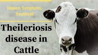 Major Dairy Cattle Diseases and their Management [upl. by Aicile]