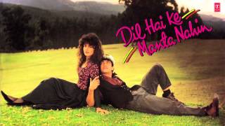 Dil Hai Ki Manta Nahin Full Audio Song Female Version  Anuradha Paudwal  Aamir Khan Pooja Bhatt [upl. by Ettenrahs]