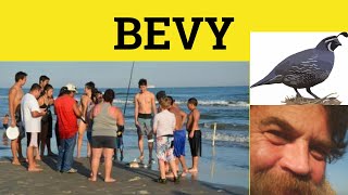 🔵 Bevy  Bevies  Bevy Meaning  Bevy Examples  Bevies in UK Slang [upl. by Adriaens]