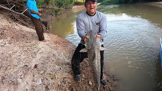 Pescando peces grandes con línea de mano en el río cravo  Puerto Rondón Arauca   Parte 2 [upl. by Nalced]