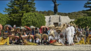 danzas de tecuanes Ixcateopan 2022 [upl. by Dorraj]