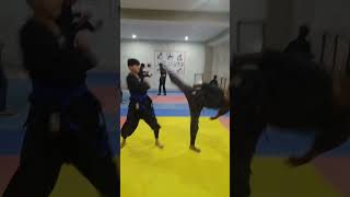 wheel kick practice by ninjas 🥷🥷 [upl. by Aihn86]