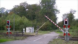 Bahnübergang Bad Bentheim Schevegraben  German Railroad crossing  Duitse Spoorwegovergang [upl. by Banquer]