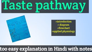 Taste pathway physiology of taste pathway physiology [upl. by Inger]