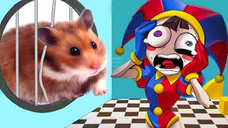 Hamster Challenges THE AMAZING DIGITAL CIRCUS Challenge  Pomnis Escape [upl. by Adnaluy]