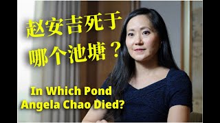 In Which Pond Angela Chao Died 趙安吉死於哪個池塘？ [upl. by Leno]