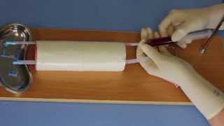 How to Setup the Venipuncture Trainer [upl. by Himelman]