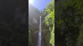 Middleham Falls Waterfall Dominica 🇩🇲 dominica caribbean waterfall woods hike [upl. by Leler]