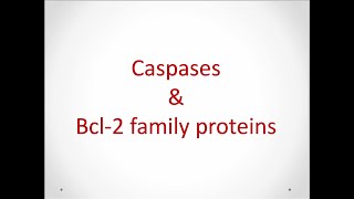 Caspasesin hindiBCL2 family of proteins Diff factors of apoptosis Apoptosisin hindiPart2 [upl. by Piper56]