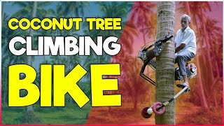 Coconut Tree Climbing Bike  Coconut Tree Climber Machine [upl. by Etakyram]