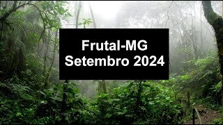 Frutal MG Setembro 2024 Javali Porco Javaporco Cateto Tamanduá Jaó Seriema Tatu Galinha Mutum Irara [upl. by Kallick176]