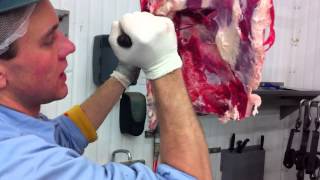 Beef Hindquarter Breakdown [upl. by Gunthar]