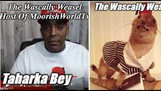 The Domestic Life Of Taharka Bey aka Toronto Johnson MoorishWorldTv SaneterStudios conartists [upl. by Emya721]