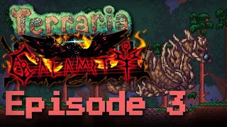 Cnidrion Terraria Calamity Mod Episode 3 [upl. by Nirehs]