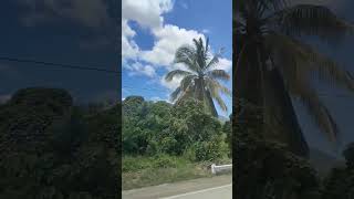 On the Way to Bukidnon ontheway bukidnon byahe bukidnonmyhome travel travelvlog traveling [upl. by Neil]