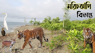 মরিচঝাঁপি জঙ্গলের সম্পূর্ণ তথ্য  marichjhapi documentary  marichjhapi massacre  sundarban jungle [upl. by Oz]