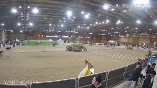 NZ Dog Shows Live Channel Live Stream [upl. by Schwinn871]