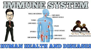 Our immune system  human health and disease NCERT for NEET and AIIMS [upl. by Carrew719]