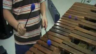 Through the Fire and Flames Marimba SCHS Band [upl. by Esirec]