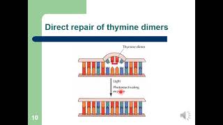 Repair and Recombination LQ [upl. by Aeiram]