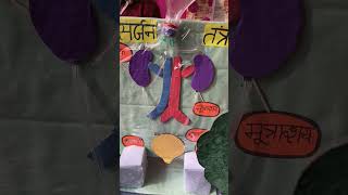 Excretory system working model  उत्सर्जन तंत्र का मॉडल shorts scienceproject [upl. by Orgell358]