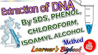 DNA extraction by SDS Method  Phenol Chloroform mixture [upl. by Imelida780]