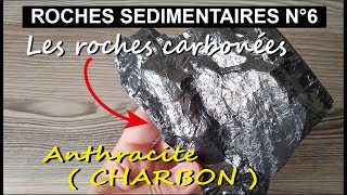 ROCHES CARBONEES  Charbon hydrocarbures  par Mme RuaultDjerrab [upl. by Alisha]