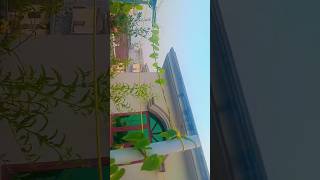 plants decor ideas  💡 caretips gardening indoorplants viralshorts shortsvideo [upl. by Kciv]