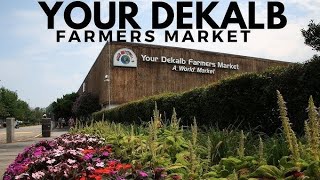 Driving to Your DeKalb Farmers Market  Atlanta [upl. by Howenstein]