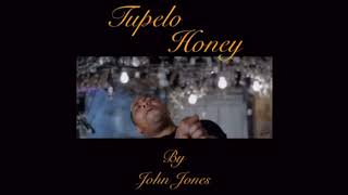 John Jones  Tupelo Honey cover [upl. by Benedic]