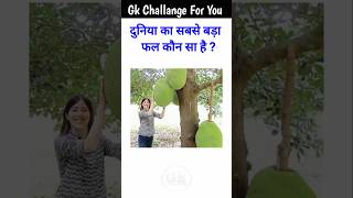 GK Top 10 Questions  GK In Hindi  GK Quiz  Gk Questions and Answers gk gkfacts samanyagyan [upl. by Alamak820]