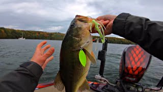 La pêche au Spinnerbait  Lac Memphrémagog [upl. by Esaele]