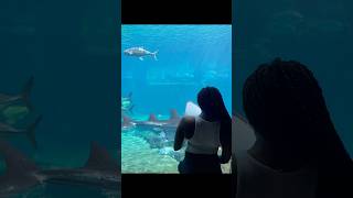 Ushaka Marine World viralvideosaquariumsouthafricaDurban [upl. by Nnahsal55]