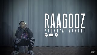 Pouriya Adroit  Raagooz Official Music Video [upl. by Ardekahs]