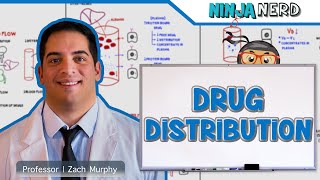 Pharmacokinetics  Drug Distribution [upl. by Nur659]