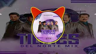 Cumbia Nortena Video Mix 2 Inmortales  Al Estilo Dj Bravo [upl. by Saberhagen]