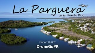 La Parguera Lajas Puerto Rico [upl. by Oiramel712]