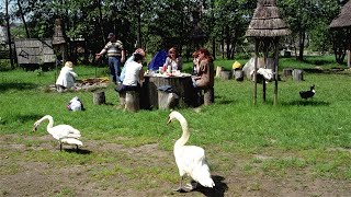 Pastebi besikeičiančius kaimo turizmo mėgėjų pomėgius tik šašlykinės neužtenka [upl. by Redla]